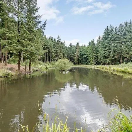 Remarkable 3-Bed Lodge In Honiton Exterior photo